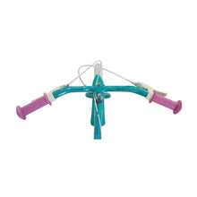 Load image into Gallery viewer, Dawes 14-inch Princess Kids Bike - Mint