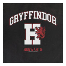 Load image into Gallery viewer, WIZARDING WORLD Harry Potter Hogwarts Gryffindor Tote Bag (96BW1WHPT)