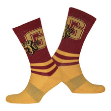 Load image into Gallery viewer, WIZARDING WORLD Harry Potter Gryffindor Striped Socks, Unisex (97BW1JHPT)
