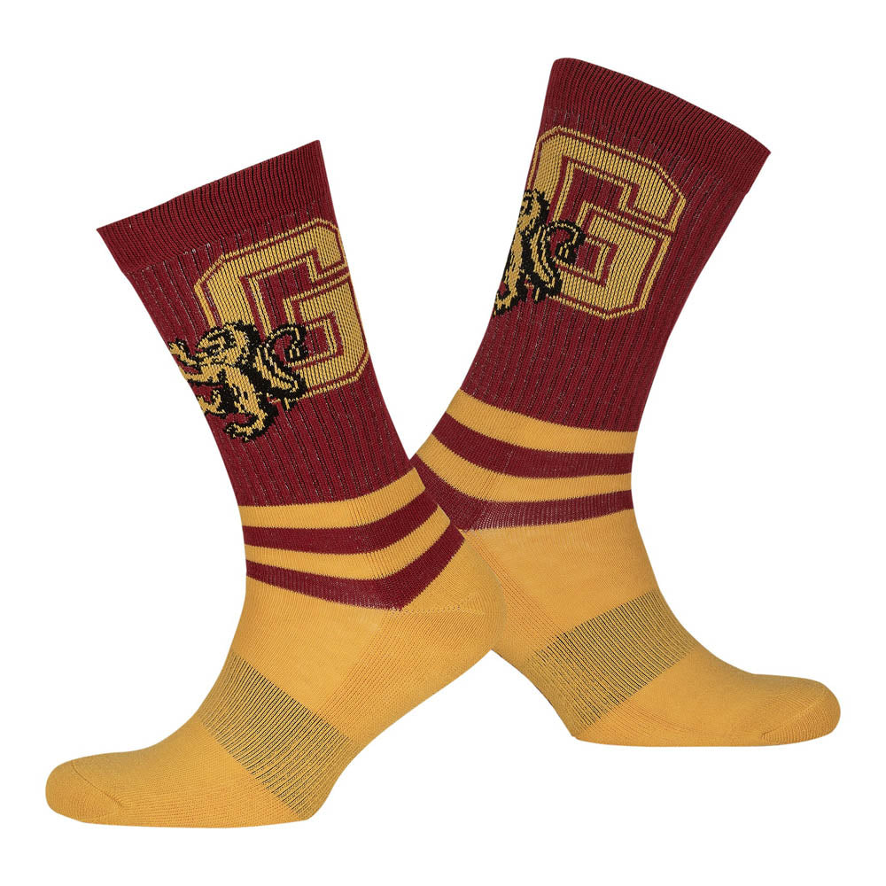 WIZARDING WORLD Harry Potter Gryffindor Striped Socks, Unisex (97BW1JHPT)