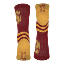 Load image into Gallery viewer, WIZARDING WORLD Harry Potter Gryffindor Striped Socks, Unisex (97BW1JHPT)
