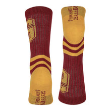 Load image into Gallery viewer, WIZARDING WORLD Harry Potter Gryffindor Striped Socks, Unisex (97BW1JHPT)