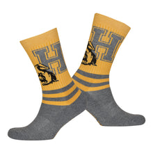 Load image into Gallery viewer, WIZARDING WORLD Harry Potter Hufflepuff Striped Socks, Unisex (97BW1NHPT)