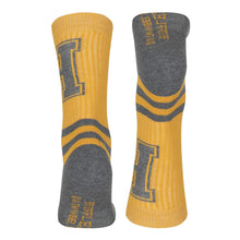 Load image into Gallery viewer, WIZARDING WORLD Harry Potter Hufflepuff Striped Socks, Unisex (97BW1NHPT)