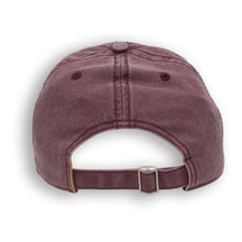 Load image into Gallery viewer, WIZARDING WORLD Harry Potter Gryffindor Alumni Adjustable Cap (BA9BMSHPT)