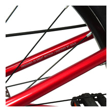 Load image into Gallery viewer, Hoy Pentland 24-inch Sprint Red Kids Bike - Red