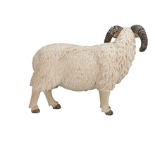 Load image into Gallery viewer, MOJO Farmland Sheep Ram Toy Figure - 387097