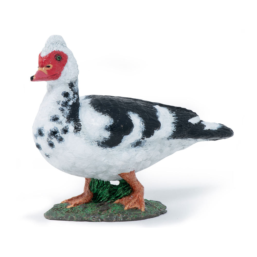PAPO Farmyard Friends Domestic Muscovy Duck Toy Figure (51189)