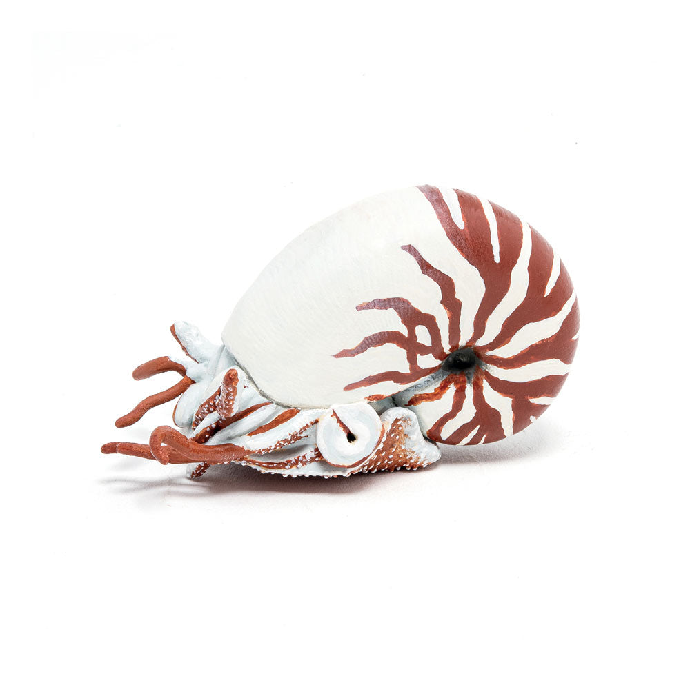 PAPO Marine Life Nautilus Toy Figure (56061)