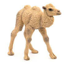 Load image into Gallery viewer, PAPO Wild Animal Kingdom Camel Calf Toy Figure (50221)