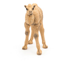 Load image into Gallery viewer, PAPO Wild Animal Kingdom Camel Calf Toy Figure (50221)