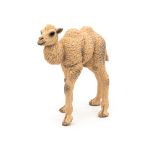 Load image into Gallery viewer, PAPO Wild Animal Kingdom Camel Calf Toy Figure (50221)