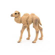 Load image into Gallery viewer, PAPO Wild Animal Kingdom Camel Calf Toy Figure (50221)
