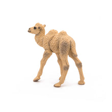 Load image into Gallery viewer, PAPO Wild Animal Kingdom Camel Calf Toy Figure (50221)