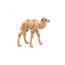 Load image into Gallery viewer, PAPO Wild Animal Kingdom Camel Calf Toy Figure (50221)