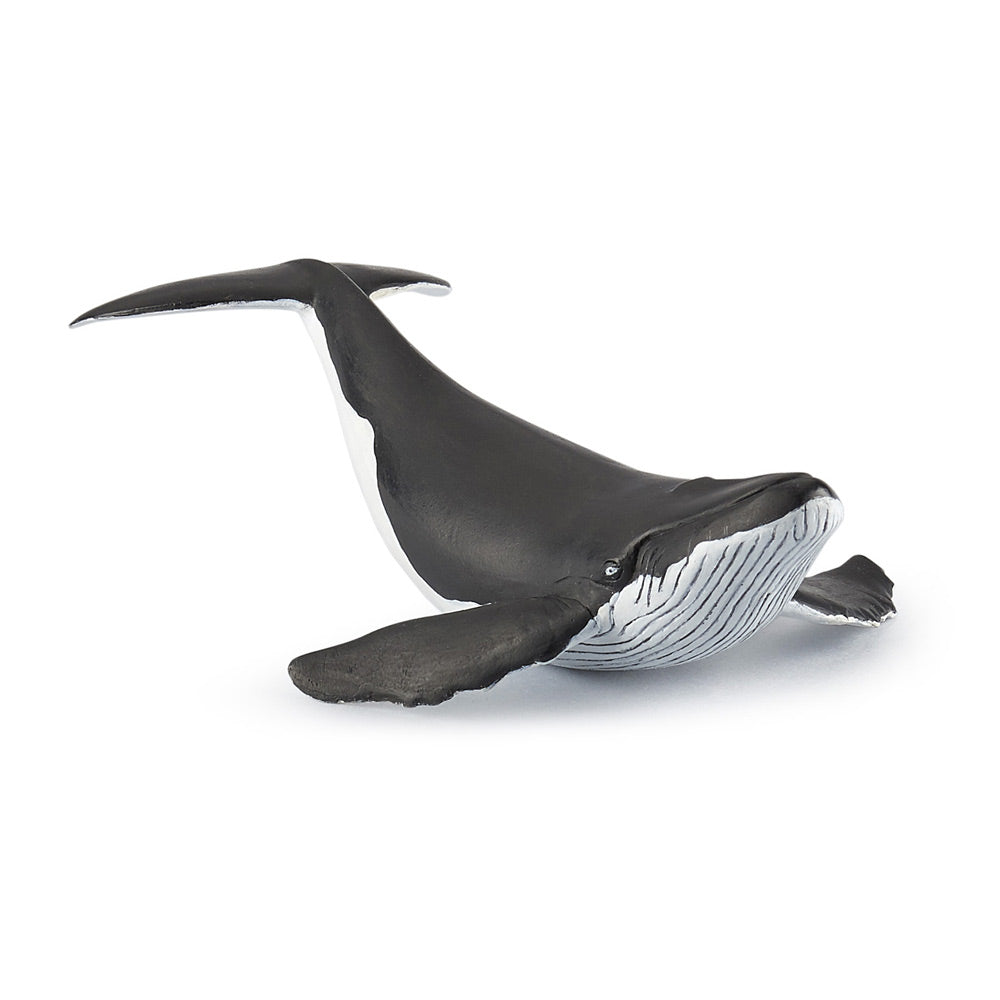 PAPO Marine Life Whale Calf Toy Figure (56035)
