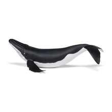 Load image into Gallery viewer, PAPO Marine Life Whale Calf Toy Figure (56035)
