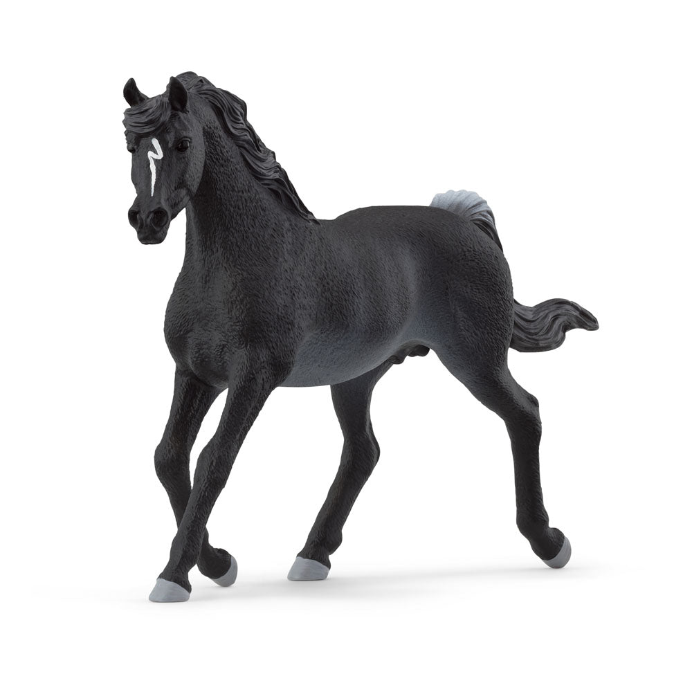 SCHLEICH Horse Club Arab Stallion Toy Figure (13981)