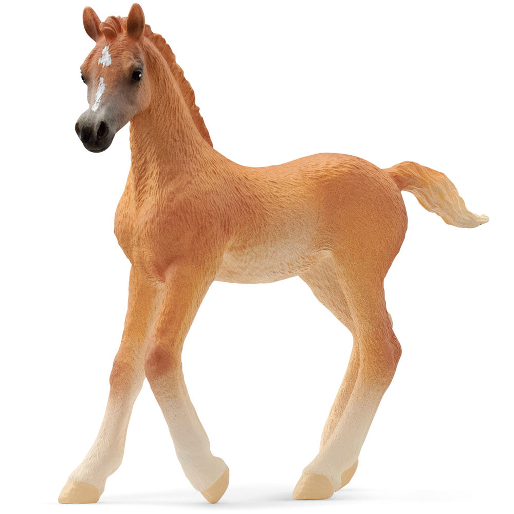 SCHLEICH Horse Club Arab Foal Toy Figure (13984)