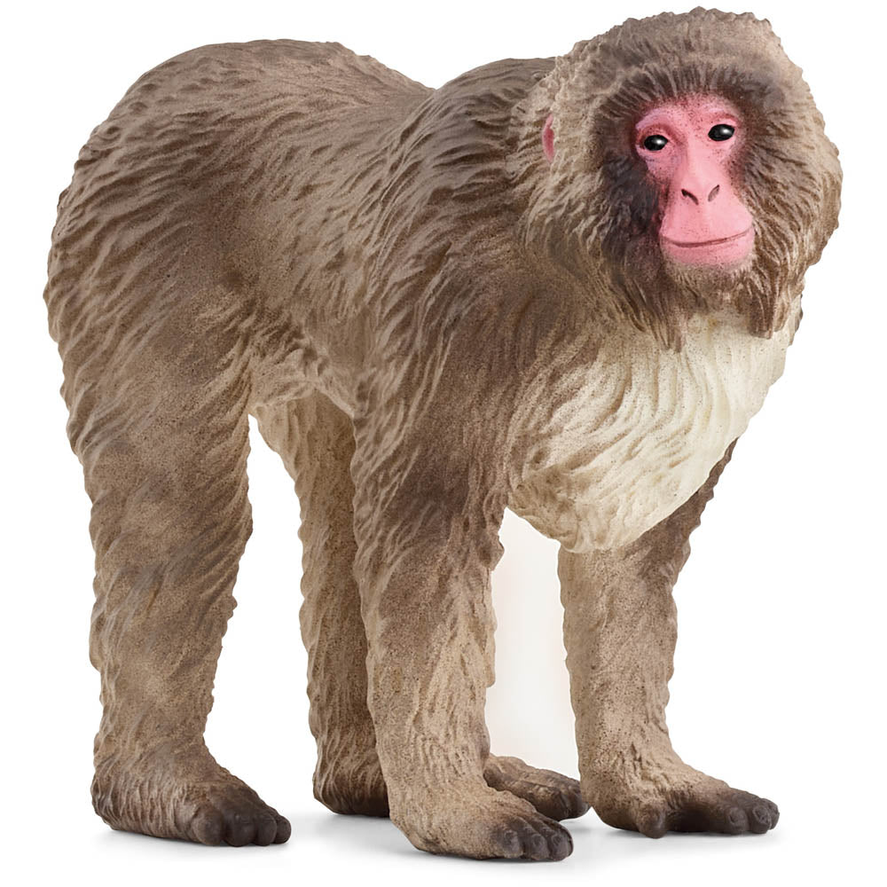 SCHLEICH Wild Life Japanese Macaque Toy Figure (14871)