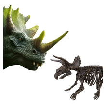 Load image into Gallery viewer, SES CREATIVE Explore Triceratops Dino and Skeleton Excavation 2-in-1 (25093)

