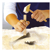 Load image into Gallery viewer, SES CREATIVE Explore Stegosaurus Dino and Skeleton Excavation 2-in-1 (25094)