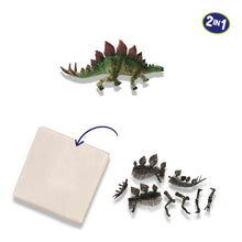Load image into Gallery viewer, SES CREATIVE Explore Stegosaurus Dino and Skeleton Excavation 2-in-1 (25094)