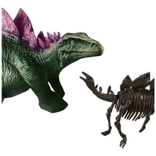 Load image into Gallery viewer, SES CREATIVE Explore Stegosaurus Dino and Skeleton Excavation 2-in-1 (25094)