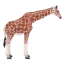 Load image into Gallery viewer, MOJO Wildlife & Woodland Giraffe Female Toy Figure (381033)