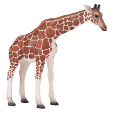 Load image into Gallery viewer, MOJO Wildlife & Woodland Giraffe Female Toy Figure (381033)