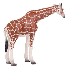Load image into Gallery viewer, MOJO Wildlife & Woodland Giraffe Female Toy Figure (381033)
