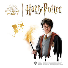 Load image into Gallery viewer, SES CREATIVE Harry Potter Rub-on Rock Painting Rock - 09341