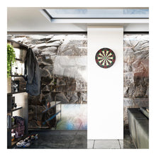 Load image into Gallery viewer, TARGET DARTS Tor Professional Dartboard (440110)