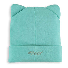 Load image into Gallery viewer, POKEMON Bulbasaur Novelty Beanie - KC380140POK