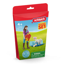 Load image into Gallery viewer, SCHLEICH Horse Club Birthday Party with Lisa Toy Playset - 42744