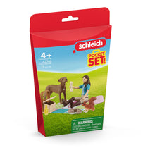 Load image into Gallery viewer, SCHLEICH Horse Club Picnic with Lisa Toy Playset - 42746
