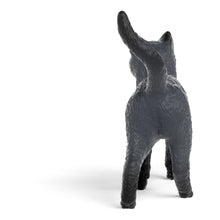 Load image into Gallery viewer, SCHLEICH School of Magical Animals Karajan the Cat Toy Figure - 14912