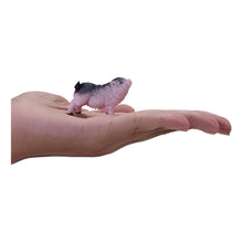 Load image into Gallery viewer, MOJO Farmland Pot Bellied Piglet Toy Figure - 381080