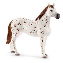 Load image into Gallery viewer, SCHLEICH Horse Club Lisa's Tournament Training (42433)