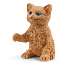 Load image into Gallery viewer, SCHLEICH Farm World Playtime for Cute Cats (42501)