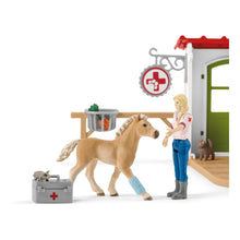 Load image into Gallery viewer, SCHLEICH Farm World Veterinarian Practice with Pets (42502)