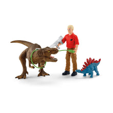 Load image into Gallery viewer, SCHLEICH Dinosaurs Tyrannosaurus Rex Attack Playset, 4 to 10 Years (41465)