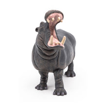 Load image into Gallery viewer, PAPO Wild Animal Kingdom Hippopotamus Toy Figure, Three Years or Above, Grey (50051)