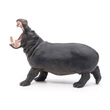Load image into Gallery viewer, PAPO Wild Animal Kingdom Hippopotamus Toy Figure, Three Years or Above, Grey (50051)
