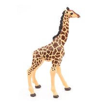 Load image into Gallery viewer, PAPO Wild Animal Kingdom Giraffe Calf Toy Figure, Three Years or Above, Multi-colour (50100)