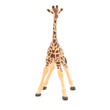 Load image into Gallery viewer, PAPO Wild Animal Kingdom Giraffe Calf Toy Figure, Three Years or Above, Multi-colour (50100)