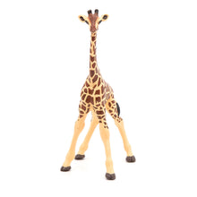 Load image into Gallery viewer, PAPO Wild Animal Kingdom Giraffe Calf Toy Figure, Three Years or Above, Multi-colour (50100)