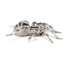 Load image into Gallery viewer, PAPO Wild Animal Kingdom Tarantula Toy Figure, Three Years or Above, Multi-colour (50190)