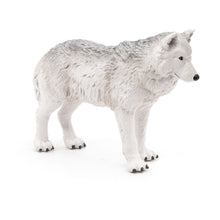 Load image into Gallery viewer, PAPO Wild Animal Kingdom Polar Wolf Toy Figure, Three Years or Above, White (50195)