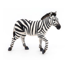 Load image into Gallery viewer, PAPO Wild Animal Kingdom Male Zebra Toy Figure, Three Years or Above, White/Black (50249)